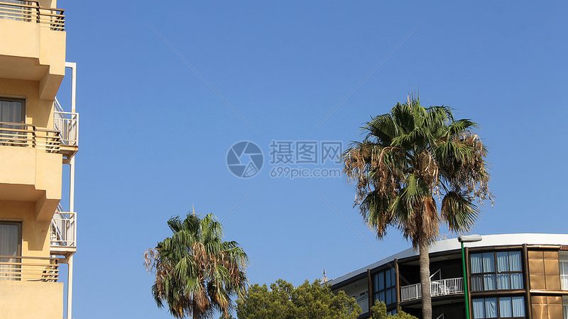 出境游，跟团还是自由行？揭秘自由度的真相
